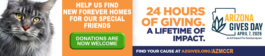 Support us on AZ Gives Day